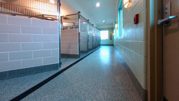 MSPCA Project Profile Landing Image