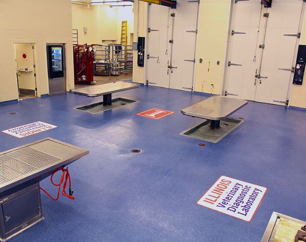 Veterinary Diagnostic Laboratory With Stontec Flooring