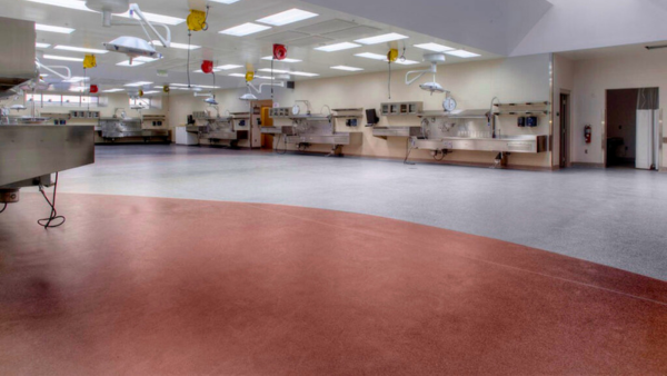 District Nine Project Landing Image 2