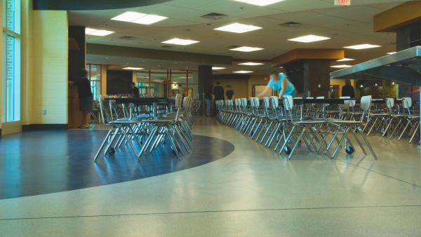 Palmyra High School Project Profile Landing