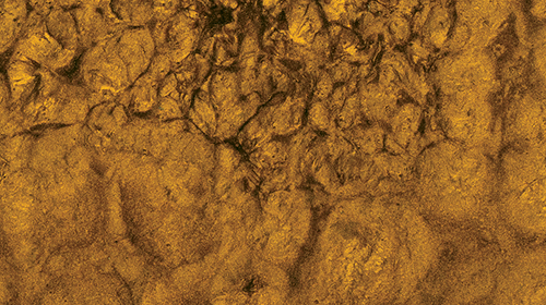 Reflect BRONZE SUNSET