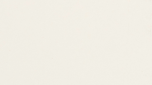 Stonres STR Fossil 580X280