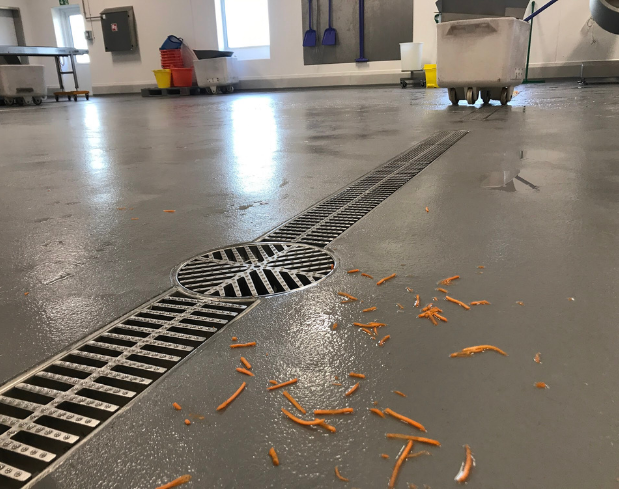 Food Facility With Commercial Drain In Seamless Flooring
