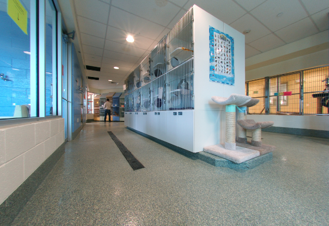 Animal Care Adoption Center With Stontec UTF Floors