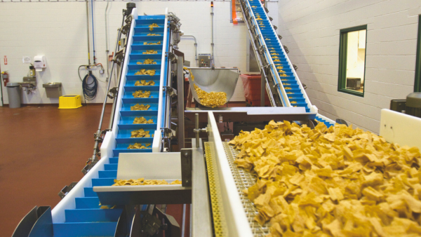 Shearer's Potato Chips Landing Image