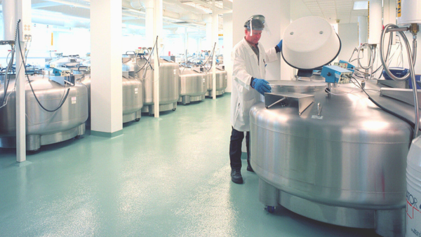 Corielle Institute Landing Image