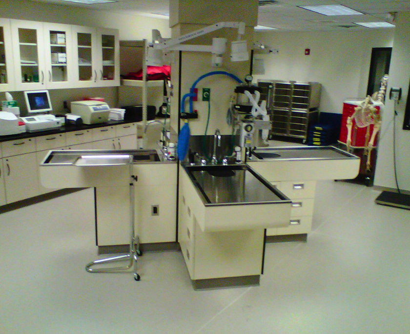 College Laboratory Stonblend Flooring