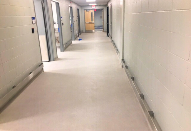 Stonshield Xpress University Vivarium Corridor