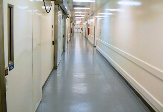 Pharmaceutical Corridor Stonclad GS