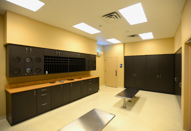 Stontec TRF In A Gowning Room