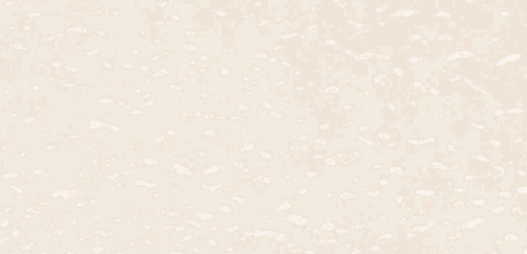 STONGLAZE BONE 580X280