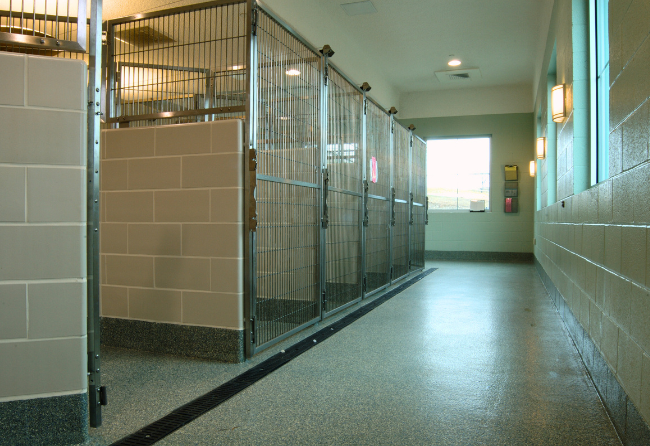 Animal Adoption Center With High Gloss Stonhard Floors